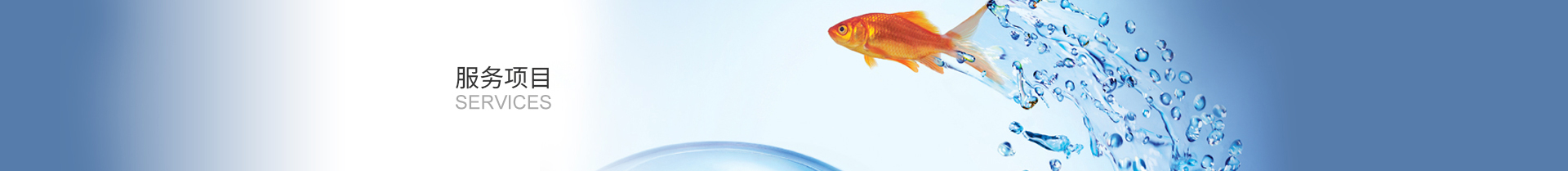 ����(w��)����